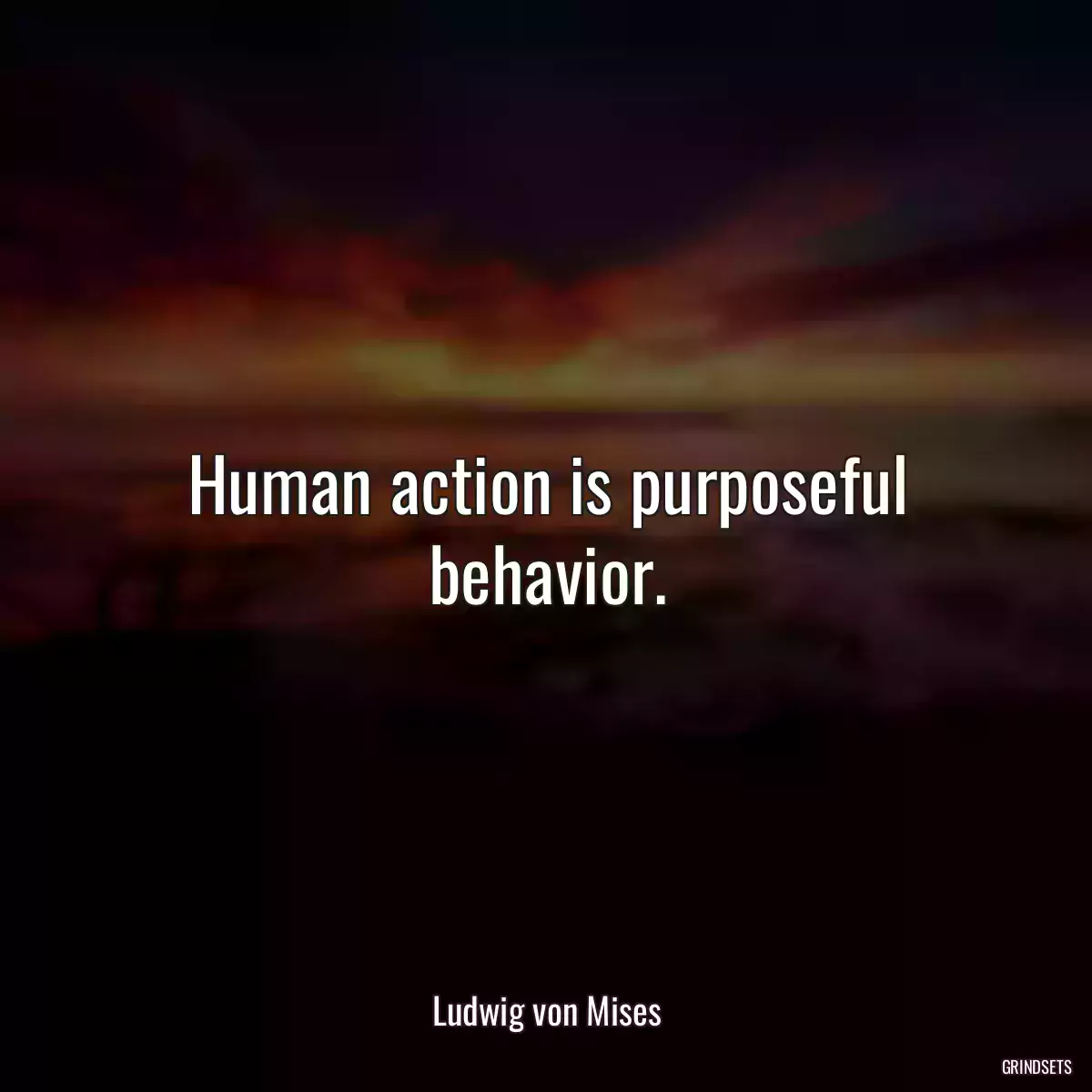 Human action is purposeful behavior.