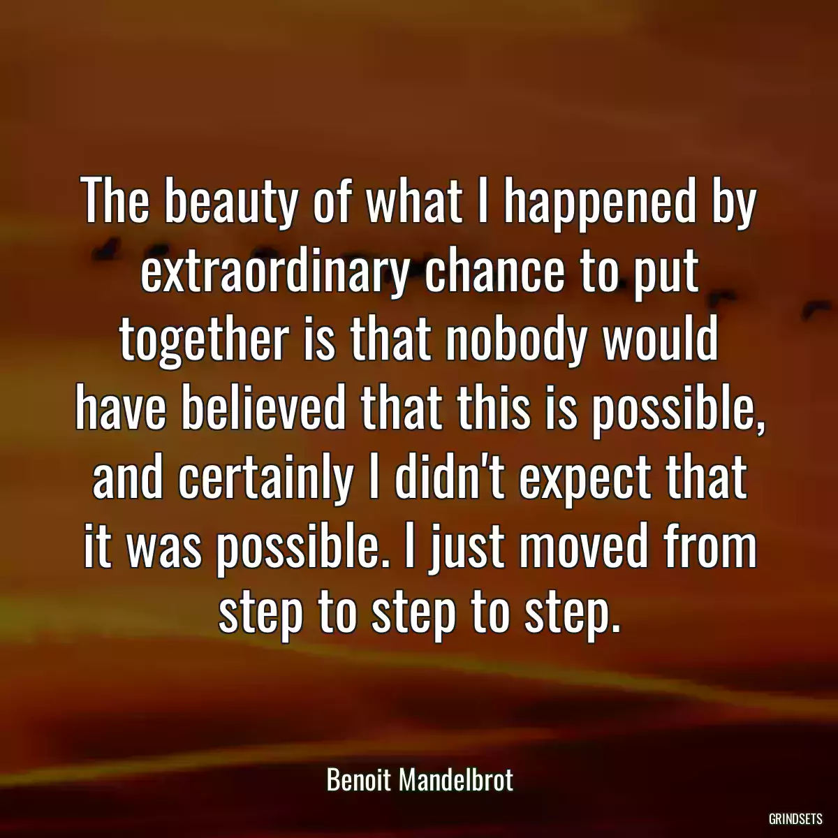 The beauty of what I happened by extraordinary chance to put together is that nobody would have believed that this is possible, and certainly I didn\'t expect that it was possible. I just moved from step to step to step.