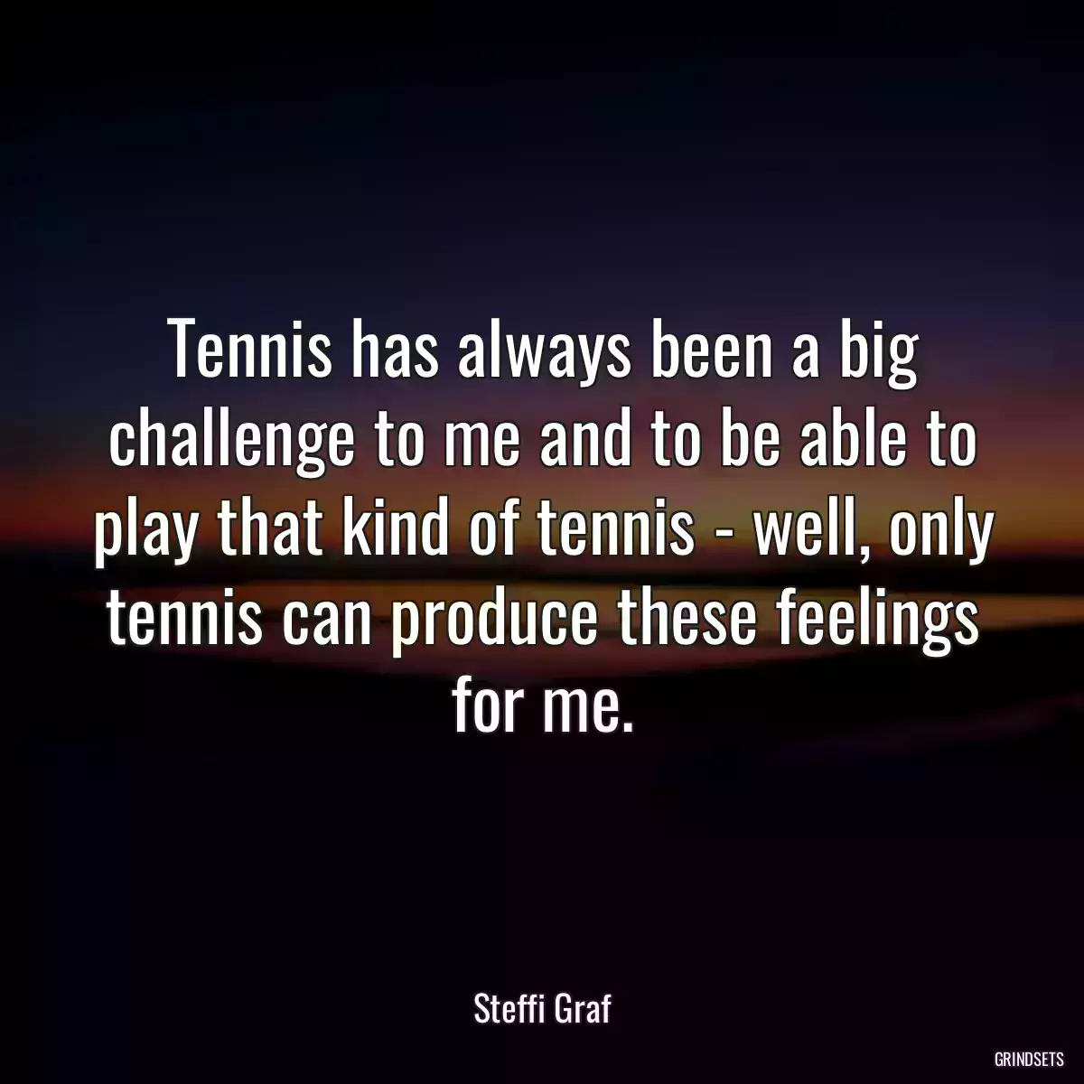 Tennis has always been a big challenge to me and to be able to play that kind of tennis - well, only tennis can produce these feelings for me.