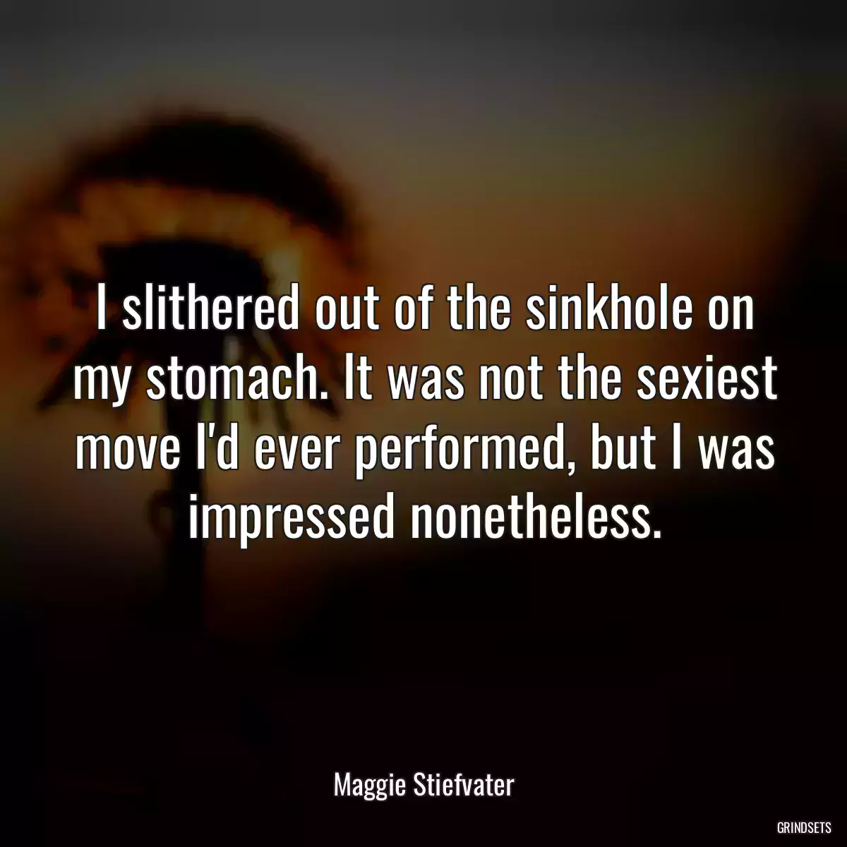 I slithered out of the sinkhole on my stomach. It was not the sexiest move I\'d ever performed, but I was impressed nonetheless.