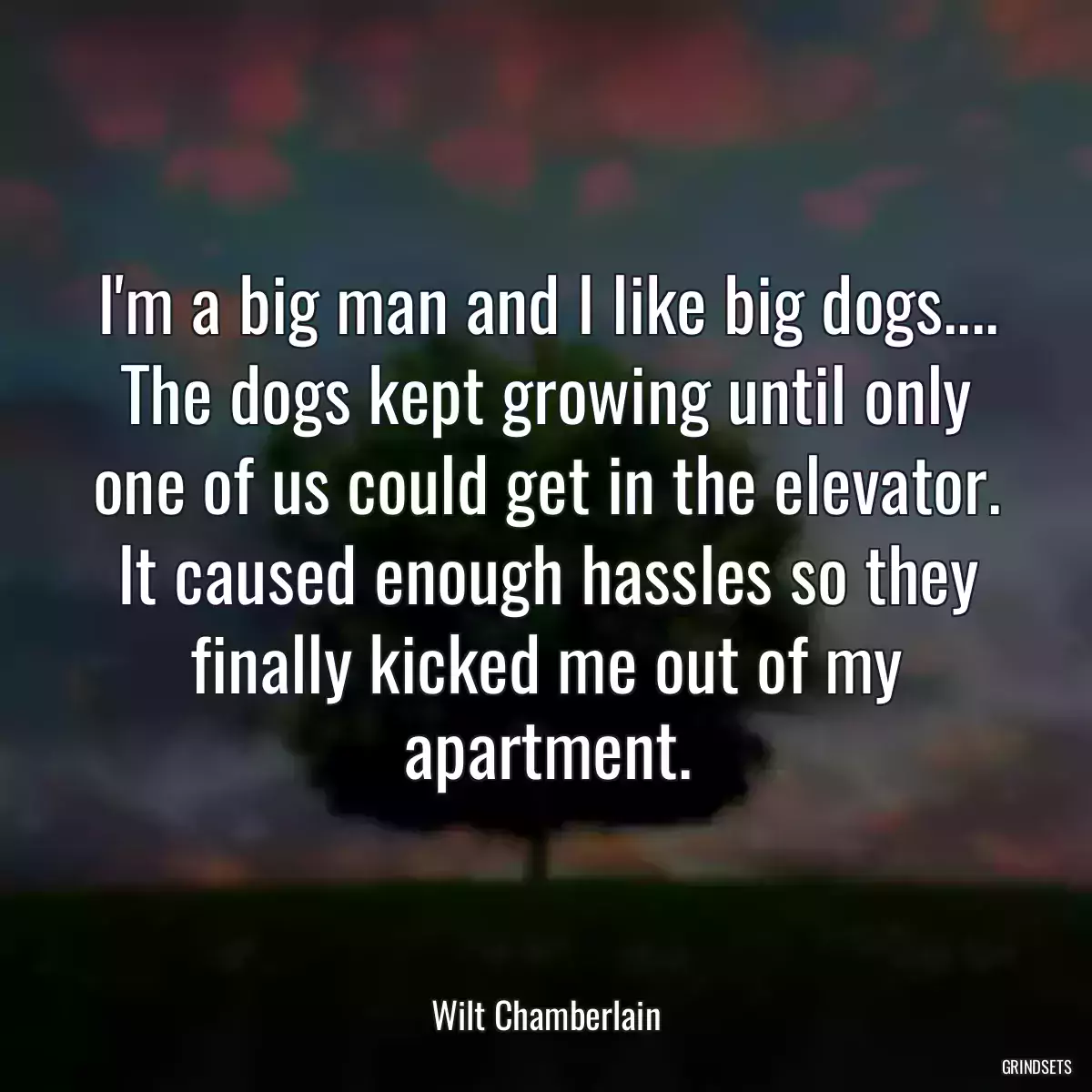 I\'m a big man and I like big dogs.... The dogs kept growing until only one of us could get in the elevator. It caused enough hassles so they finally kicked me out of my apartment.