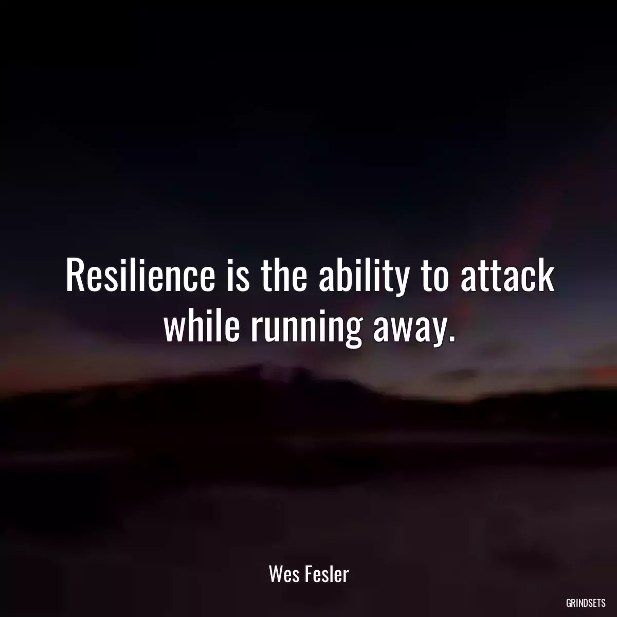 Resilience is the ability to attack while running away.