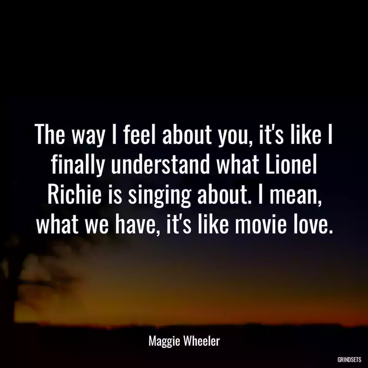 The way I feel about you, it\'s like I finally understand what Lionel Richie is singing about. I mean, what we have, it\'s like movie love.