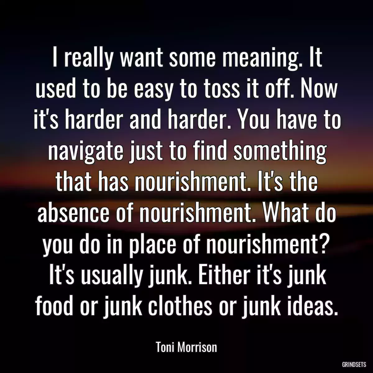 I really want some meaning. It used to be easy to toss it off. Now it\'s harder and harder. You have to navigate just to find something that has nourishment. It\'s the absence of nourishment. What do you do in place of nourishment? It\'s usually junk. Either it\'s junk food or junk clothes or junk ideas.