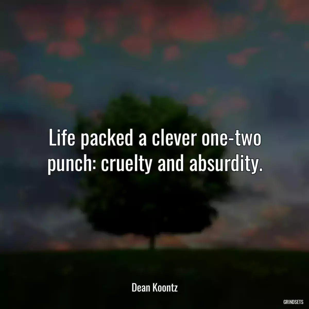 Life packed a clever one-two punch: cruelty and absurdity.