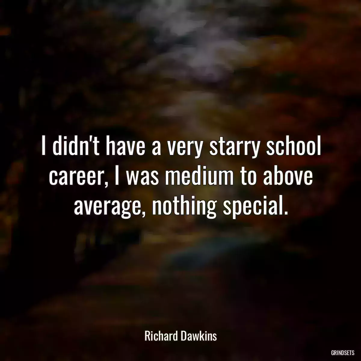 I didn\'t have a very starry school career, I was medium to above average, nothing special.