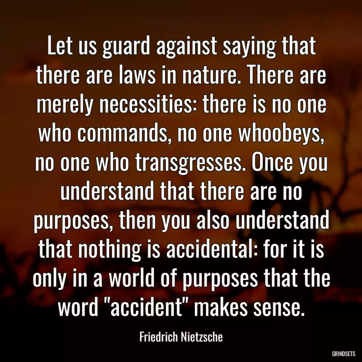 Let us guard against saying that there are laws in nature. There are merely necessities: there is no one who commands, no one whoobeys, no one who transgresses. Once you understand that there are no purposes, then you also understand that nothing is accidental: for it is only in a world of purposes that the word \