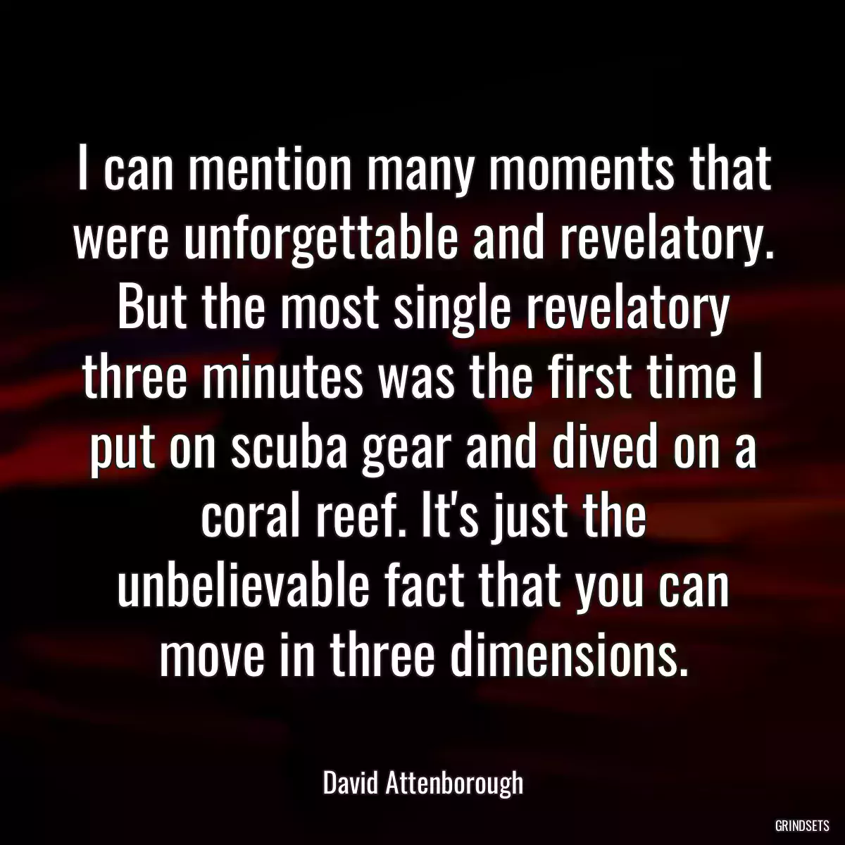 I can mention many moments that were unforgettable and revelatory. But the most single revelatory three minutes was the first time I put on scuba gear and dived on a coral reef. It\'s just the unbelievable fact that you can move in three dimensions.