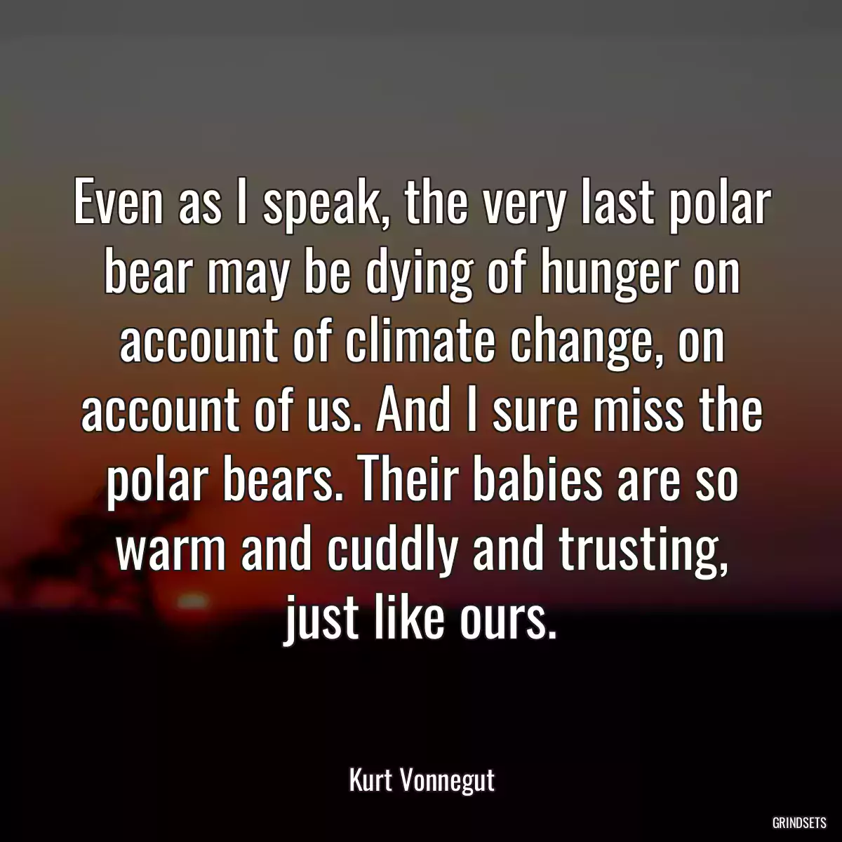 Even as I speak, the very last polar bear may be dying of hunger on account of climate change, on account of us. And I sure miss the polar bears. Their babies are so warm and cuddly and trusting, just like ours.