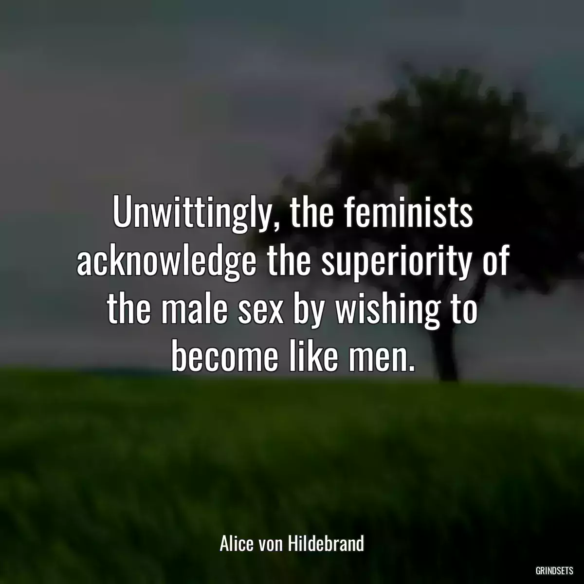 Unwittingly, the feminists acknowledge the superiority of the male sex by wishing to become like men.