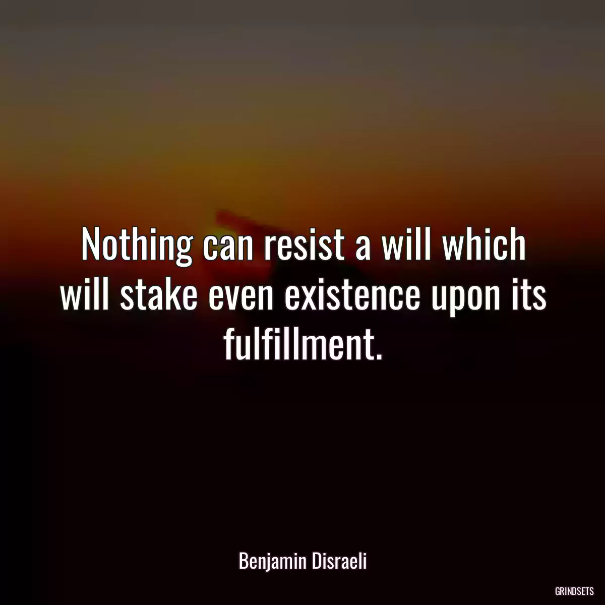 Nothing can resist a will which will stake even existence upon its fulfillment.