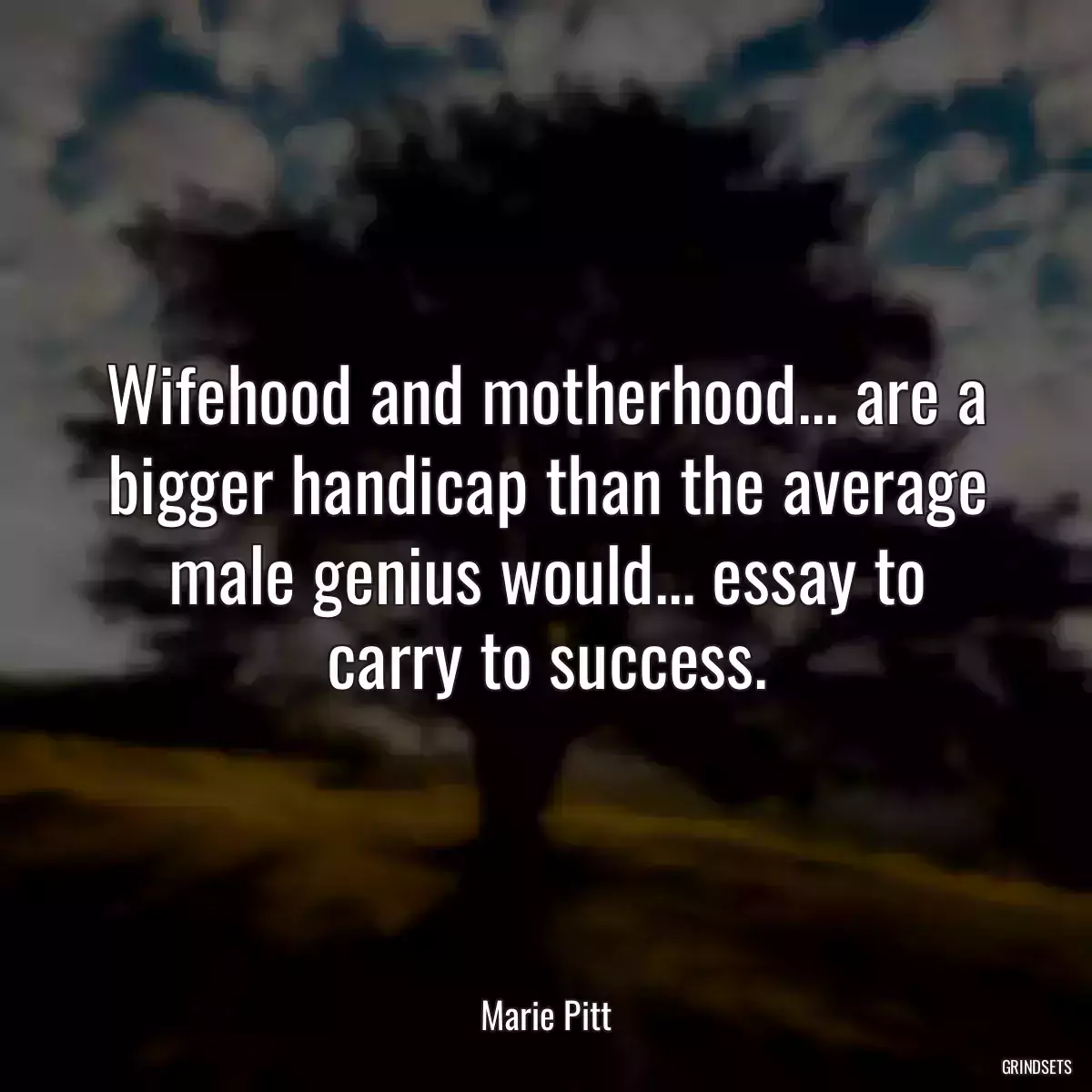 Wifehood and motherhood... are a bigger handicap than the average male genius would... essay to carry to success.