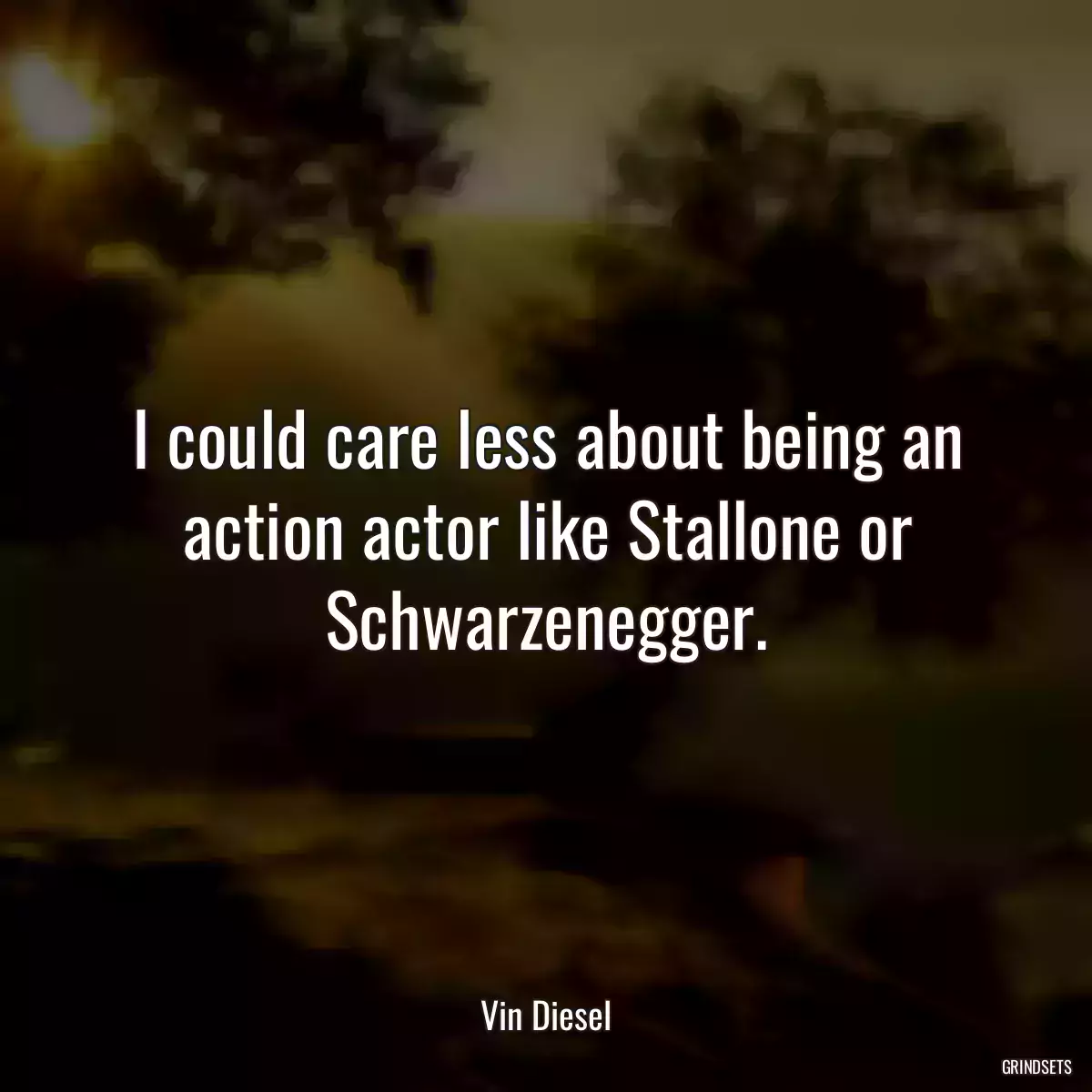 I could care less about being an action actor like Stallone or Schwarzenegger.