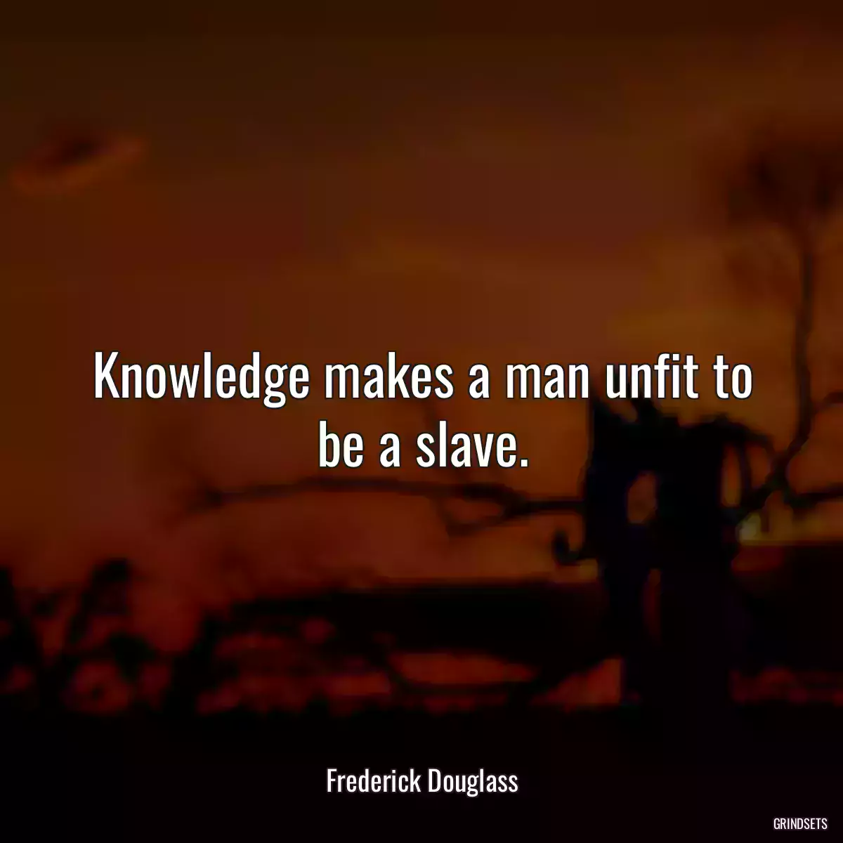 Knowledge makes a man unfit to be a slave.