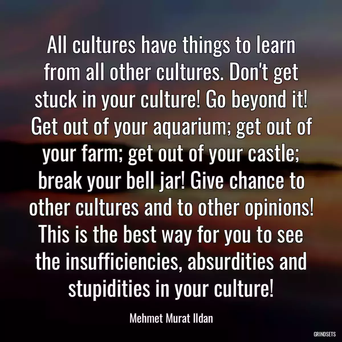 All cultures have things to learn from all other cultures. Don\'t get stuck in your culture! Go beyond it! Get out of your aquarium; get out of your farm; get out of your castle; break your bell jar! Give chance to other cultures and to other opinions! This is the best way for you to see the insufficiencies, absurdities and stupidities in your culture!