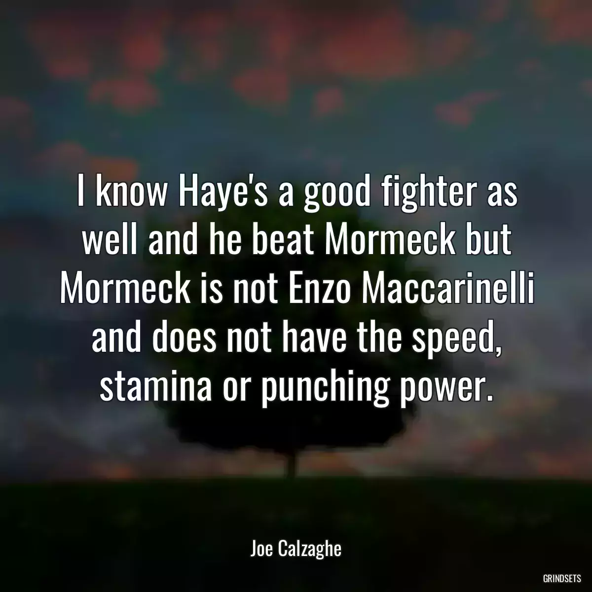 I know Haye\'s a good fighter as well and he beat Mormeck but Mormeck is not Enzo Maccarinelli and does not have the speed, stamina or punching power.