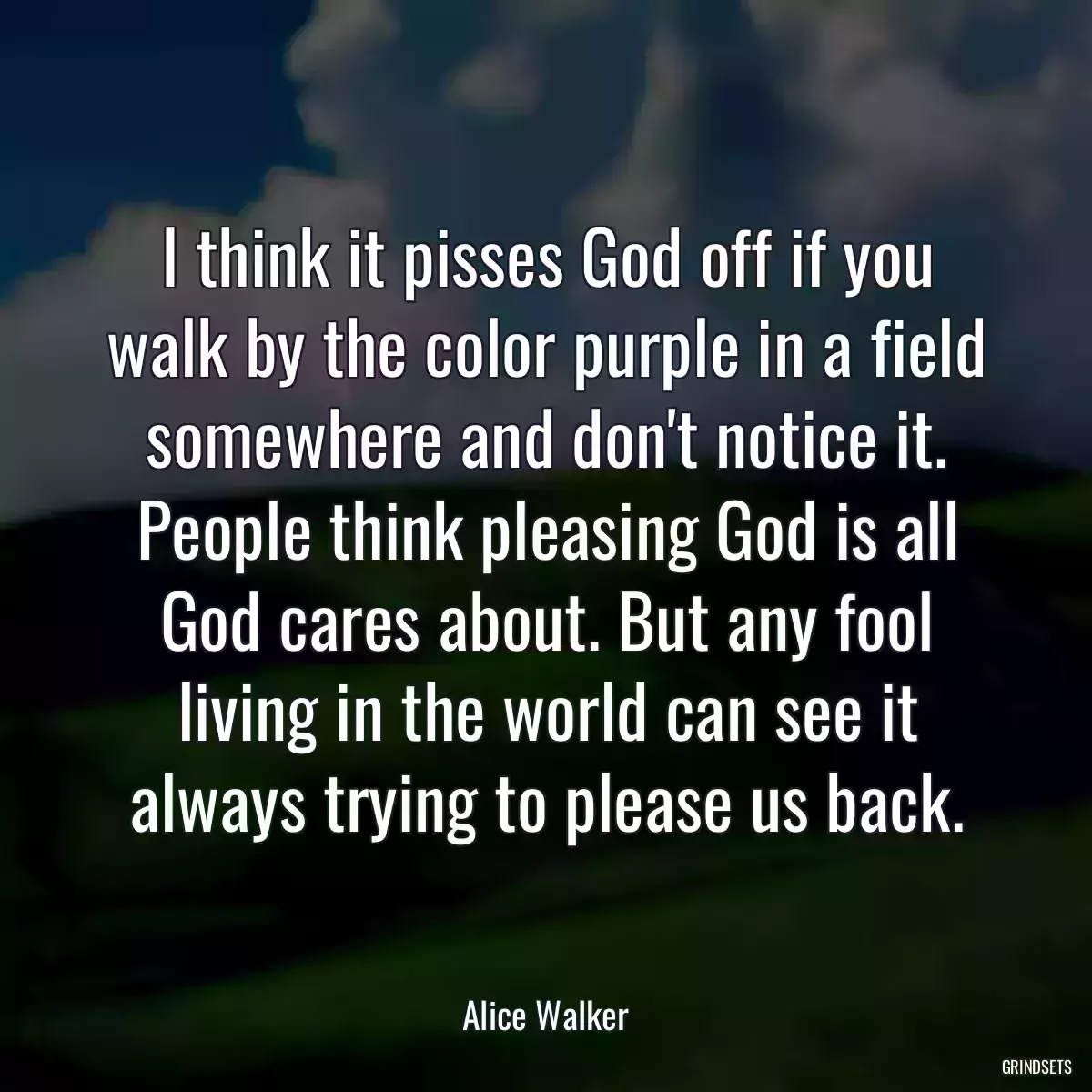 I think it pisses God off if you walk by the color purple in a field somewhere and don\'t notice it. People think pleasing God is all God cares about. But any fool living in the world can see it always trying to please us back.