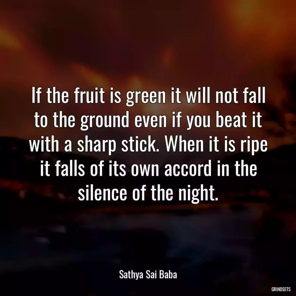 If the fruit is green it will not fall to the ground even if you beat it with a sharp stick. When it is ripe it falls of its own accord in the silence of the night.