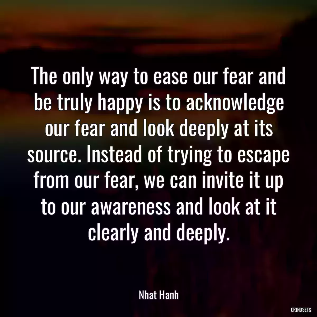 The only way to ease our fear and be truly happy is to acknowledge our fear and look deeply at its source. Instead of trying to escape from our fear, we can invite it up to our awareness and look at it clearly and deeply.