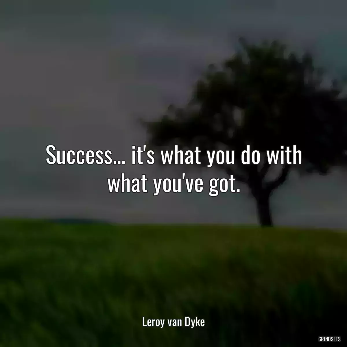 Success... it\'s what you do with what you\'ve got.