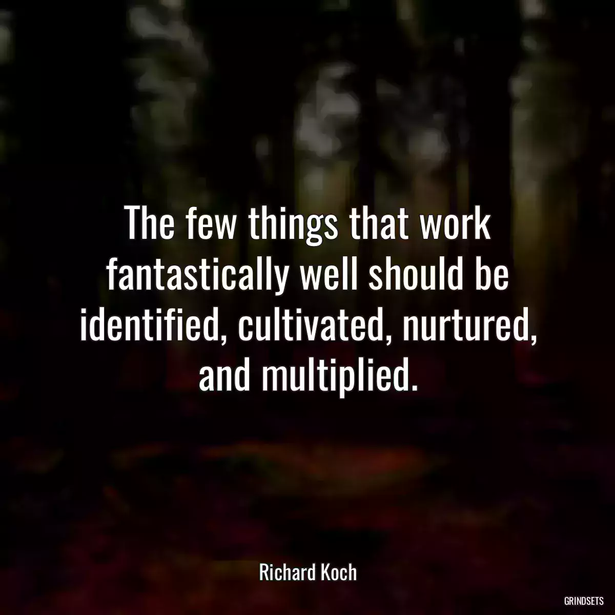 The few things that work fantastically well should be identified, cultivated, nurtured, and multiplied.