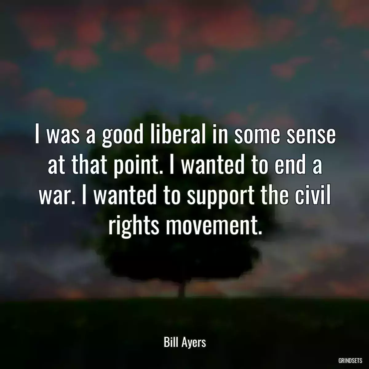 I was a good liberal in some sense at that point. I wanted to end a war. I wanted to support the civil rights movement.