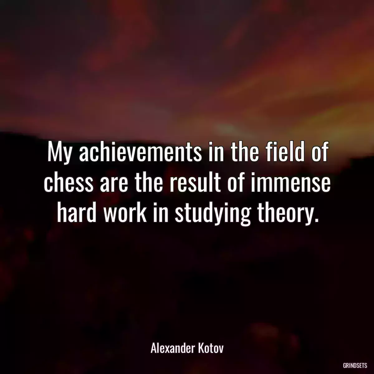 My achievements in the field of chess are the result of immense hard work in studying theory.