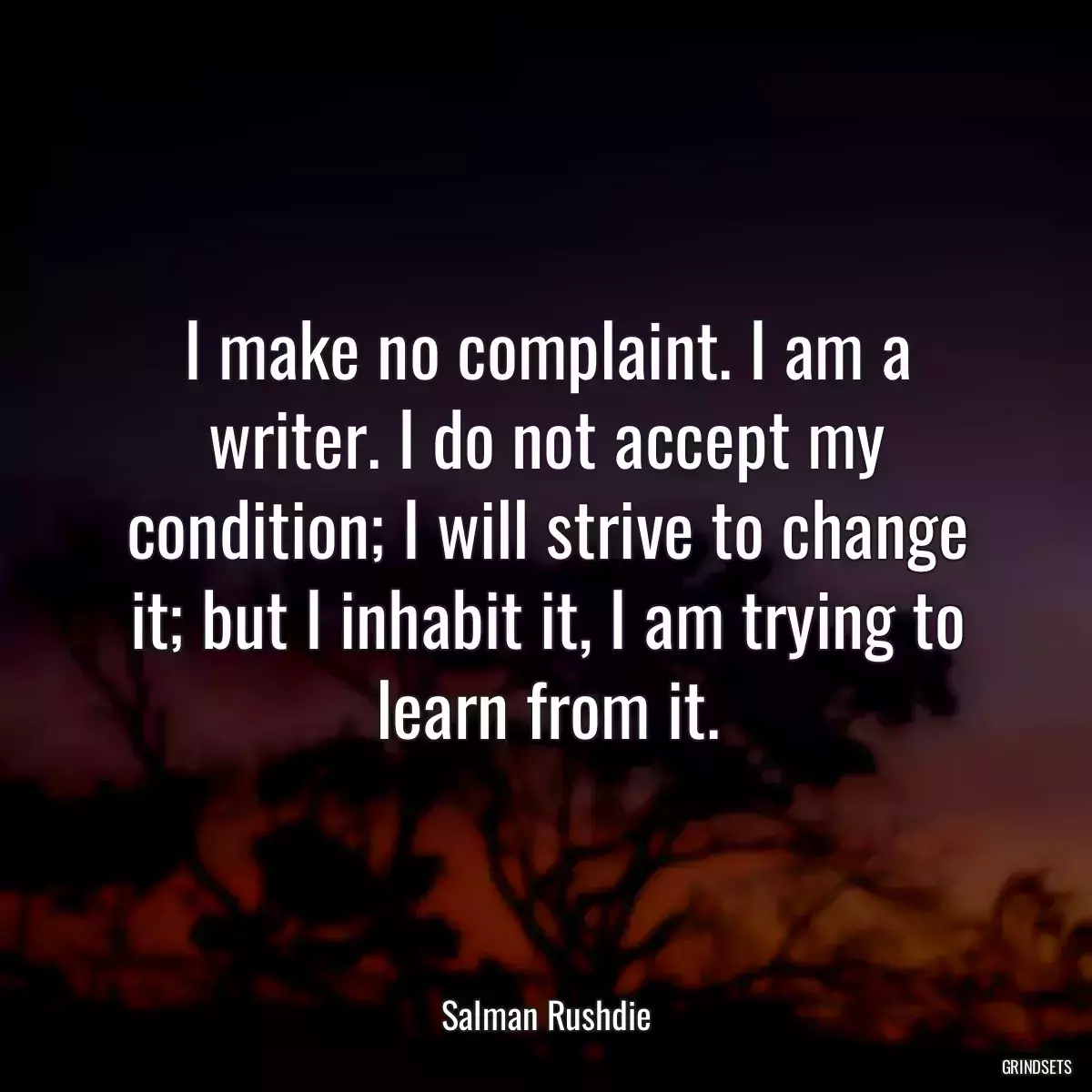 I make no complaint. I am a writer. I do not accept my condition; I will strive to change it; but I inhabit it, I am trying to learn from it.