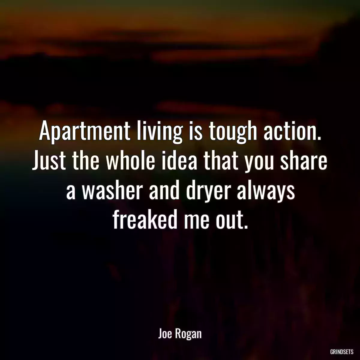 Apartment living is tough action. Just the whole idea that you share a washer and dryer always freaked me out.