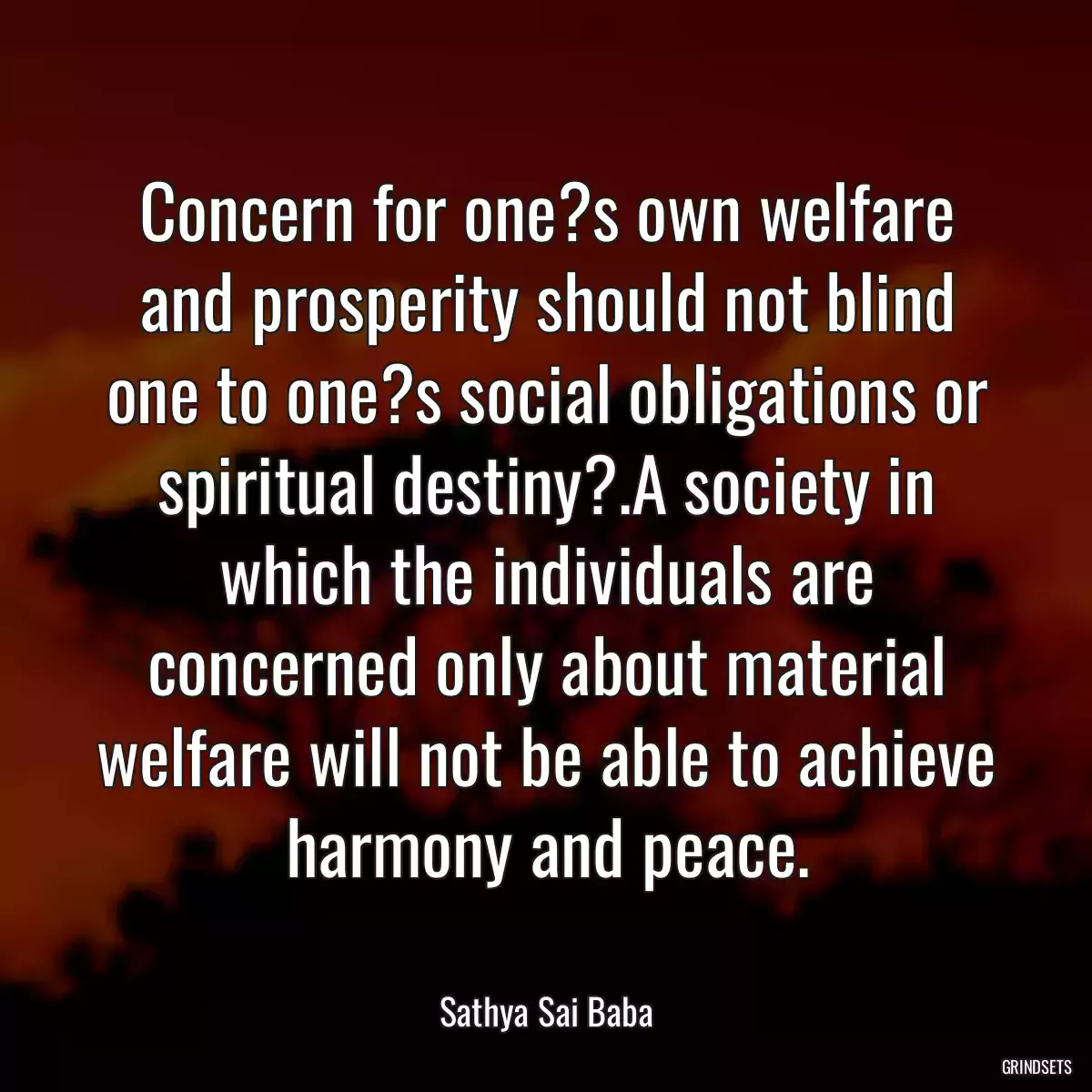 Concern for one?s own welfare and prosperity should not blind one to one?s social obligations or spiritual destiny?.A society in which the individuals are concerned only about material welfare will not be able to achieve harmony and peace.