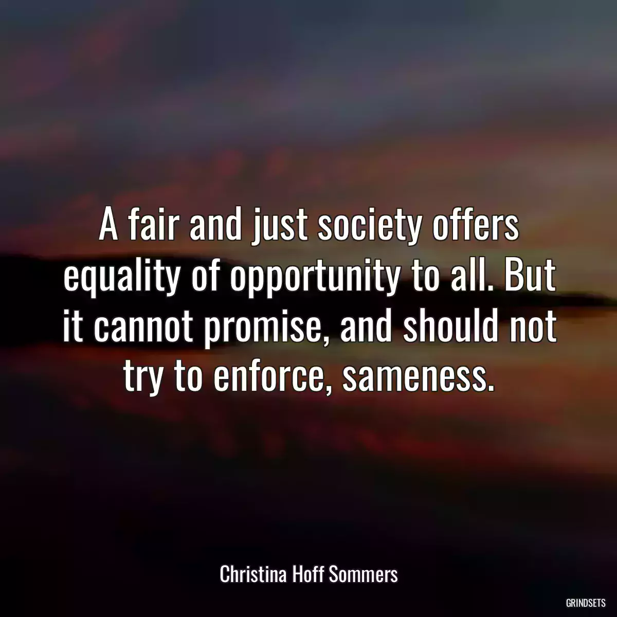 A fair and just society offers equality of opportunity to all. But it cannot promise, and should not try to enforce, sameness.