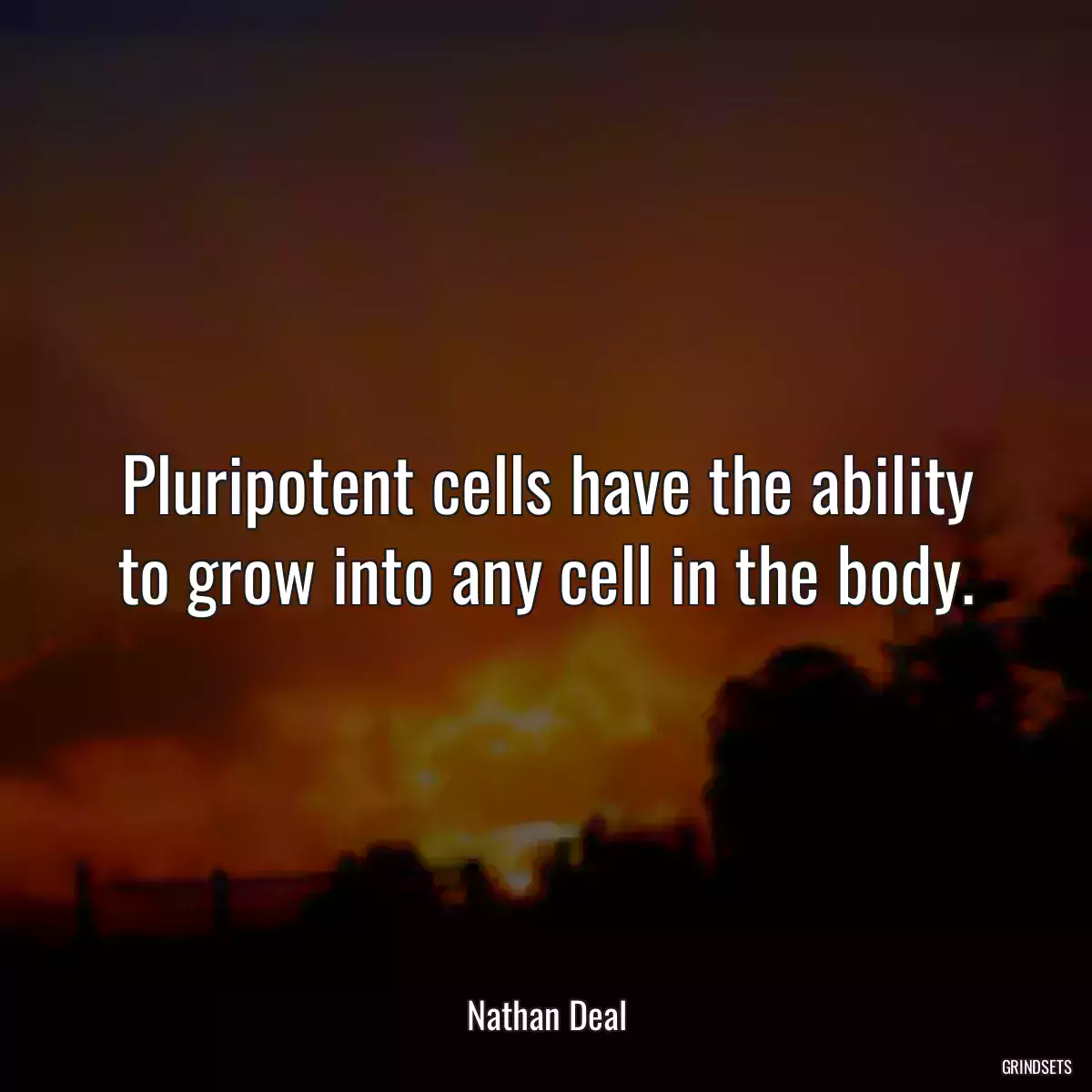 Pluripotent cells have the ability to grow into any cell in the body.