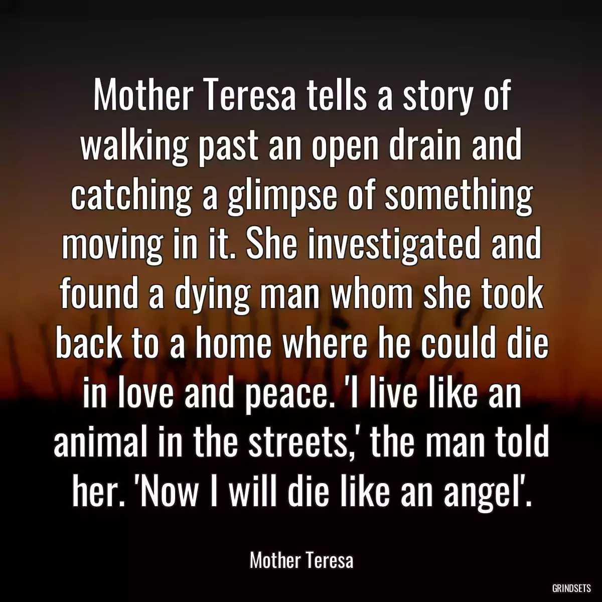 Mother Teresa tells a story of walking past an open drain and catching a glimpse of something moving in it. She investigated and found a dying man whom she took back to a home where he could die in love and peace. \'I live like an animal in the streets,\' the man told her. \'Now I will die like an angel\'.