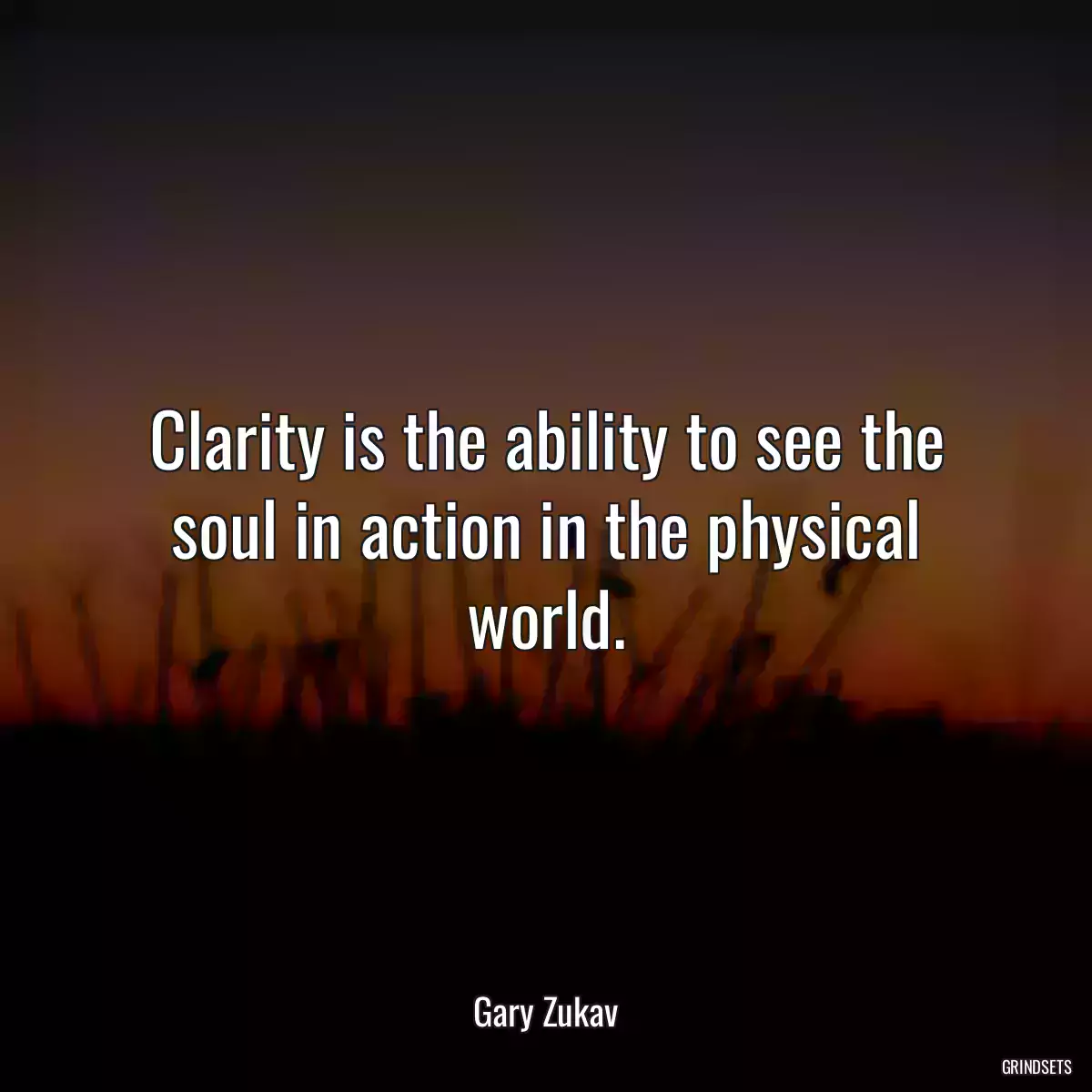 Clarity is the ability to see the soul in action in the physical world.