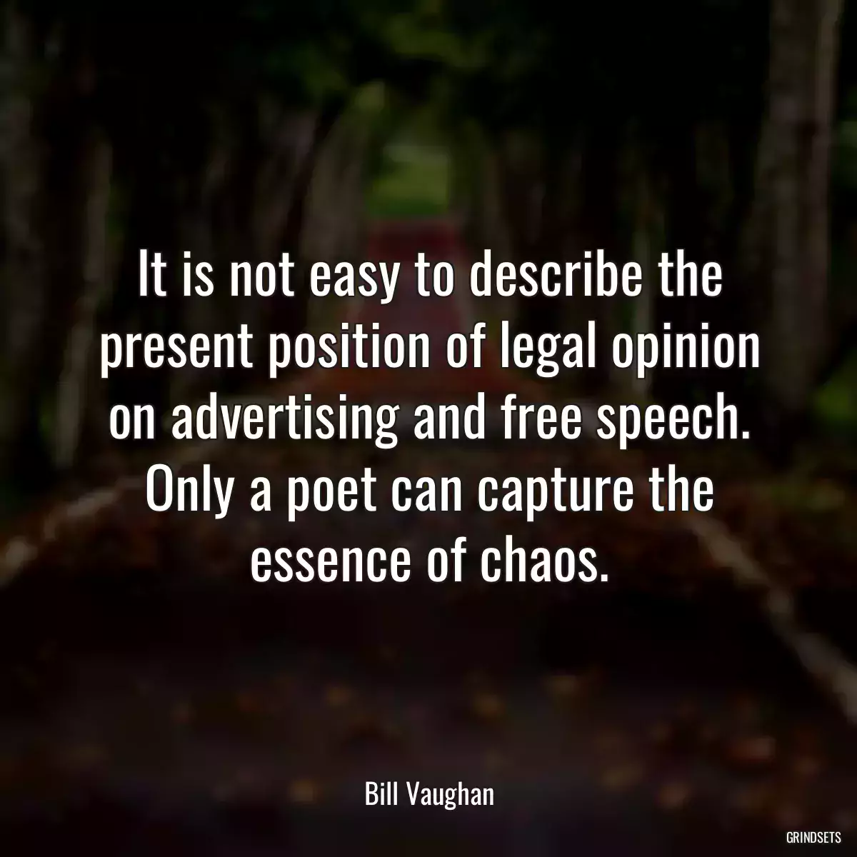 It is not easy to describe the present position of legal opinion on advertising and free speech. Only a poet can capture the essence of chaos.