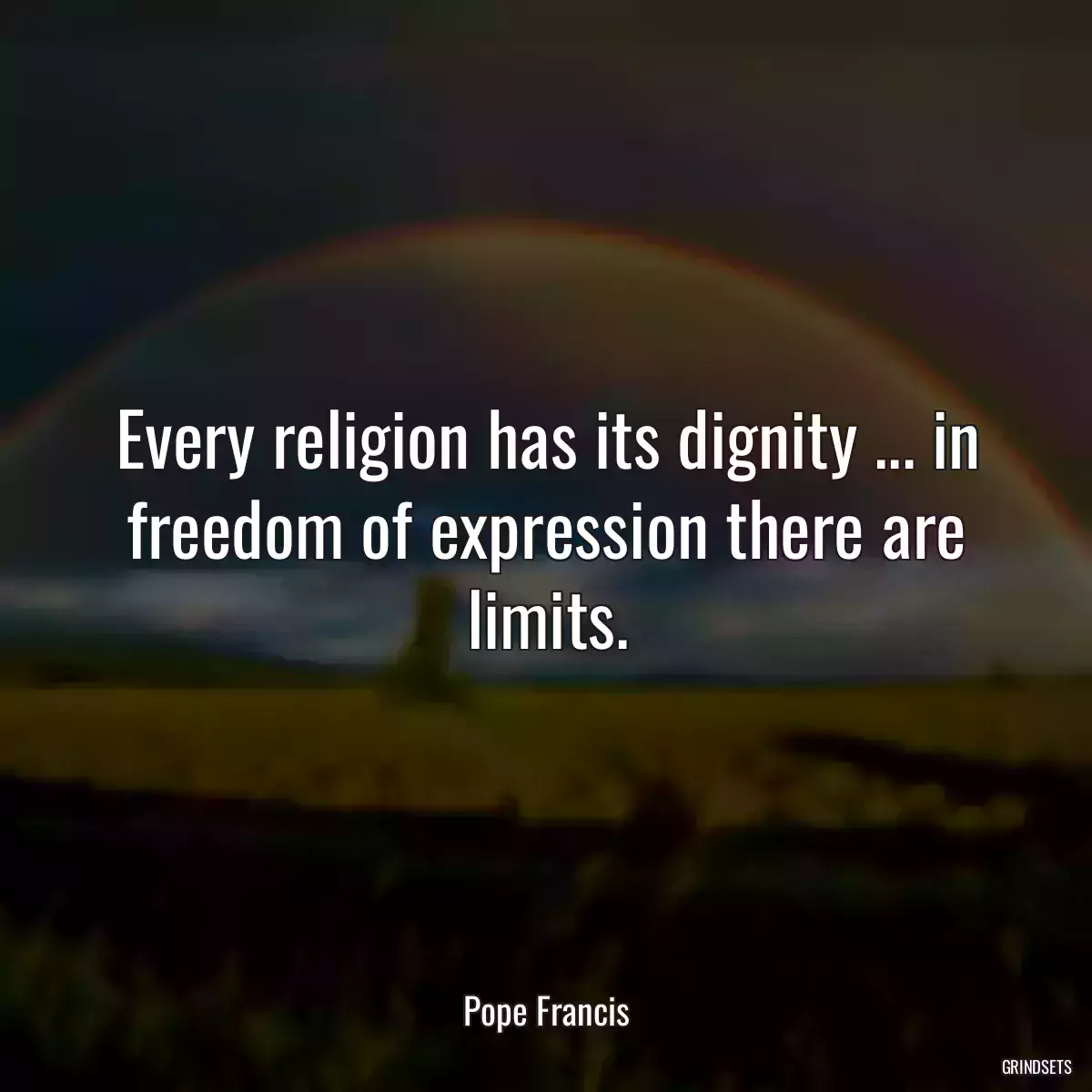 Every religion has its dignity ... in freedom of expression there are limits.