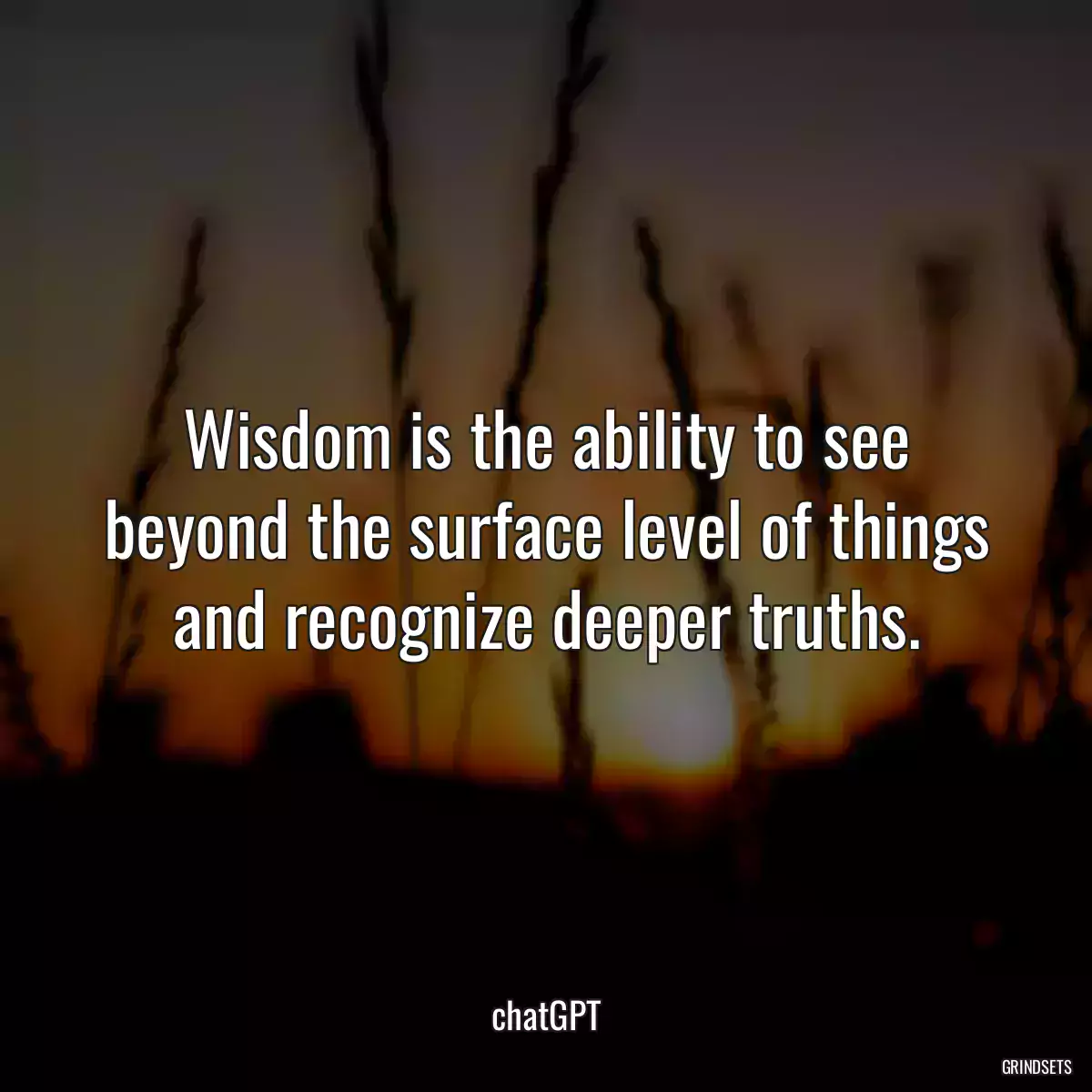 Wisdom is the ability to see beyond the surface level of things and recognize deeper truths.