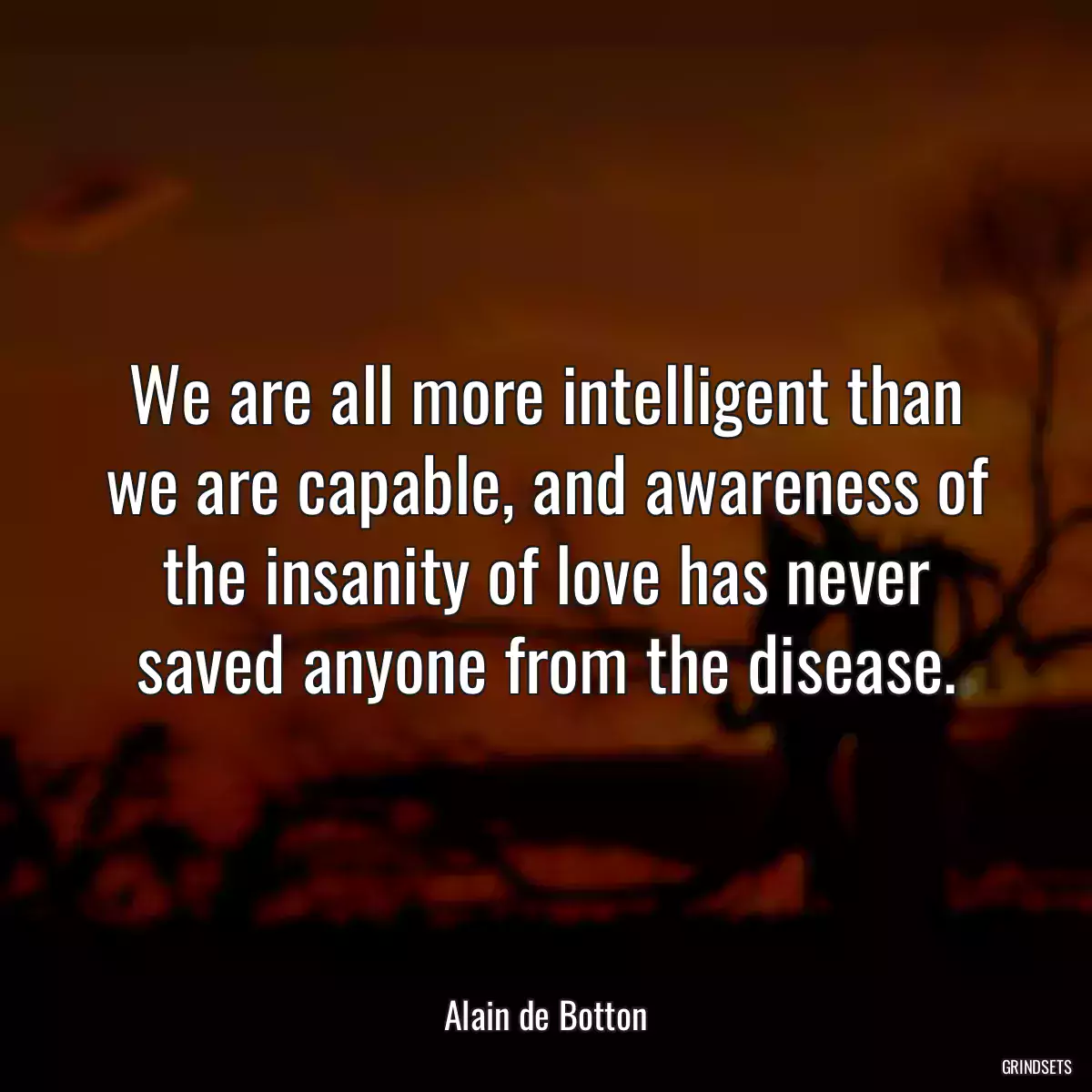 We are all more intelligent than we are capable, and awareness of the insanity of love has never saved anyone from the disease.