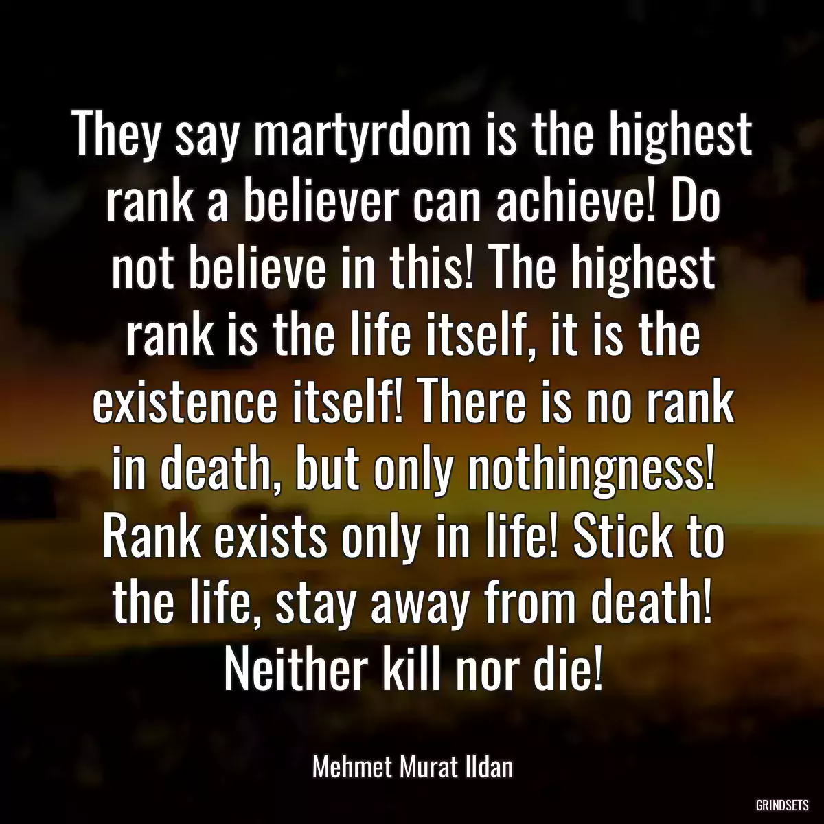 They say martyrdom is the highest rank a believer can achieve! Do not believe in this! The highest rank is the life itself, it is the existence itself! There is no rank in death, but only nothingness! Rank exists only in life! Stick to the life, stay away from death! Neither kill nor die!