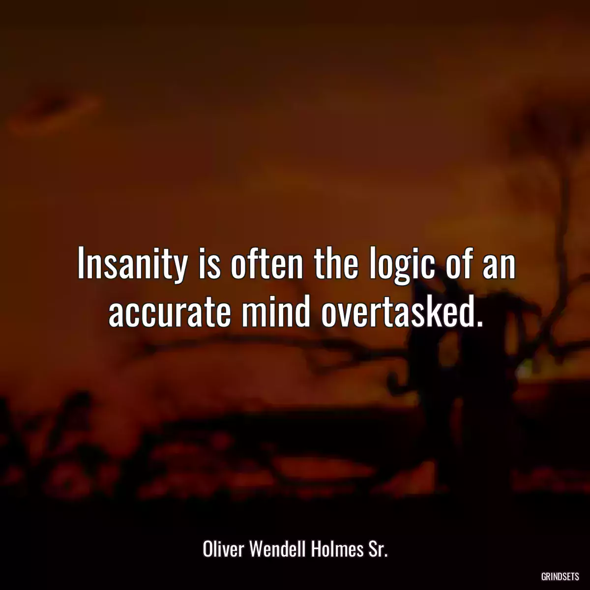 Insanity is often the logic of an accurate mind overtasked.