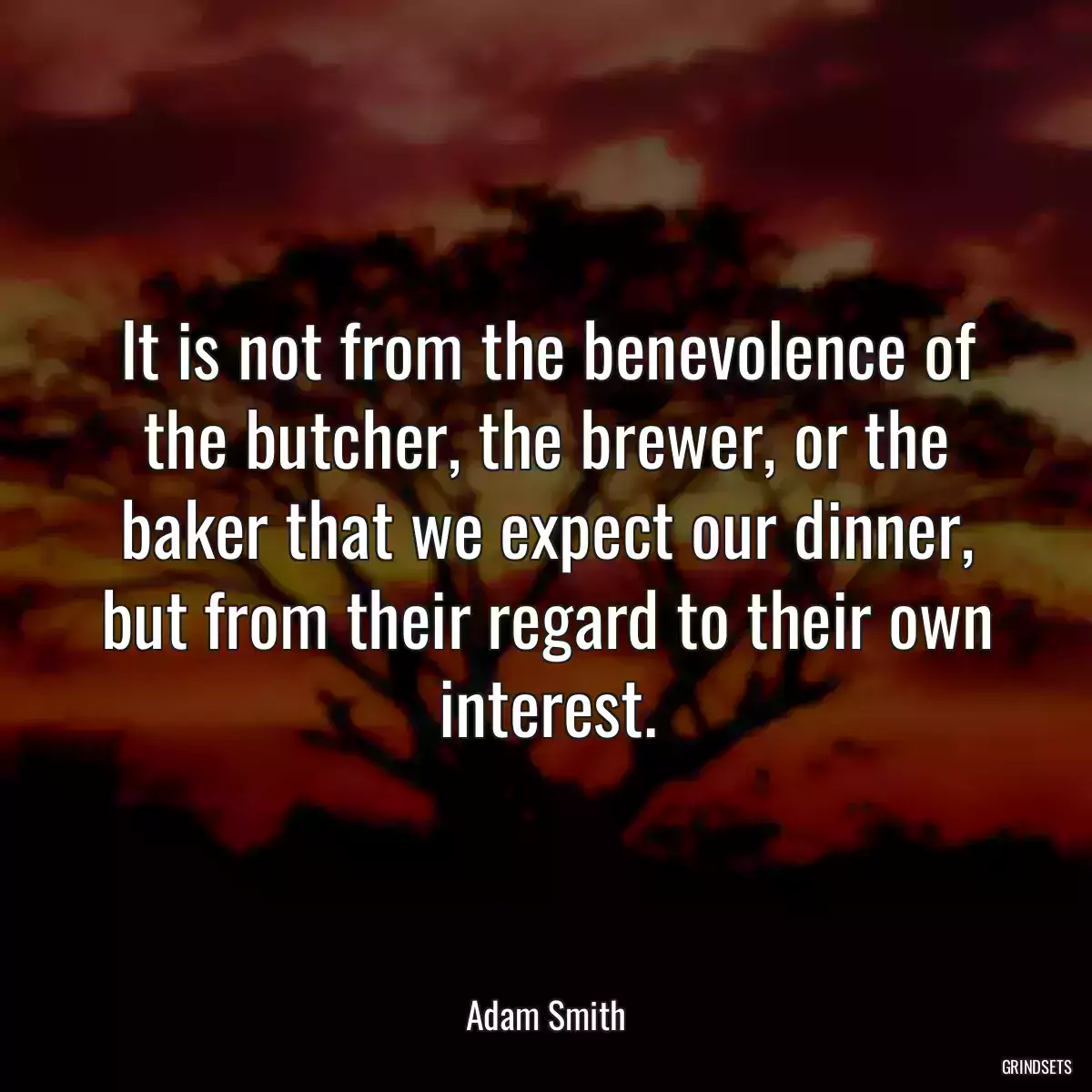 It is not from the benevolence of the butcher, the brewer, or the baker that we expect our dinner, but from their regard to their own interest.