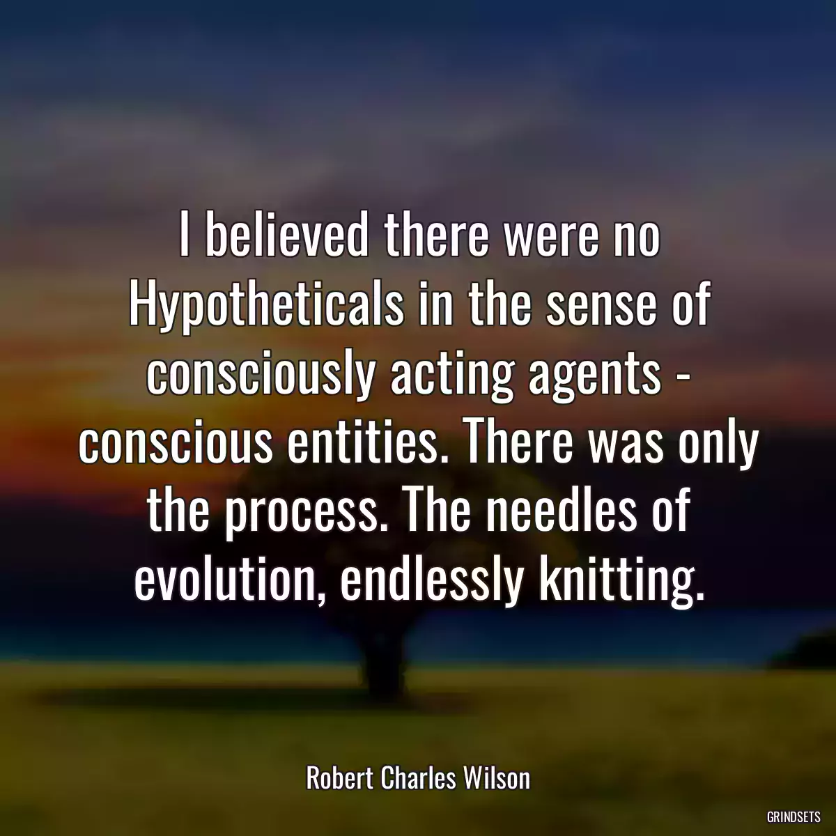 I believed there were no Hypotheticals in the sense of consciously acting agents - conscious entities. There was only the process. The needles of evolution, endlessly knitting.