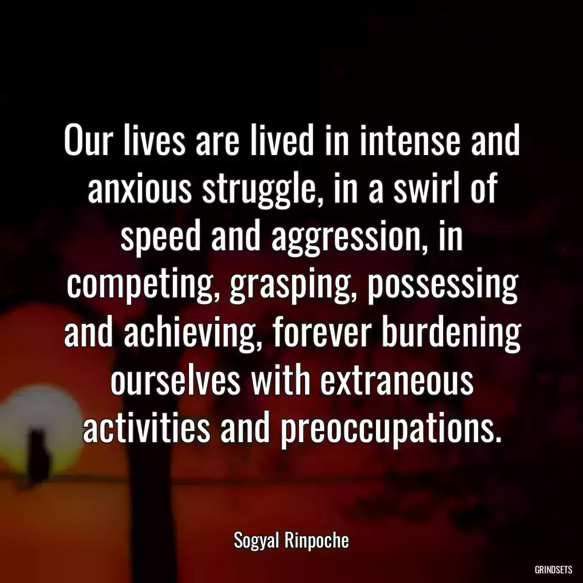Our lives are lived in intense and anxious struggle, in a swirl of speed and aggression, in competing, grasping, possessing and achieving, forever burdening ourselves with extraneous activities and preoccupations.