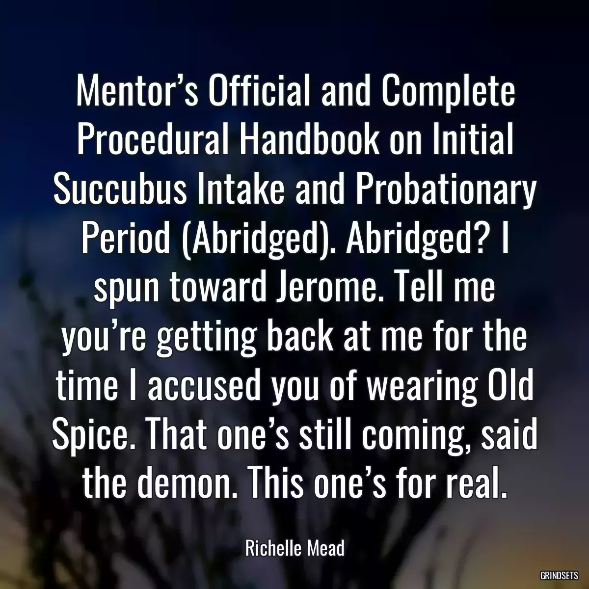 Mentor’s Official and Complete Procedural Handbook on Initial Succubus Intake and Probationary Period (Abridged). Abridged? I spun toward Jerome. Tell me you’re getting back at me for the time I accused you of wearing Old Spice. That one’s still coming, said the demon. This one’s for real.