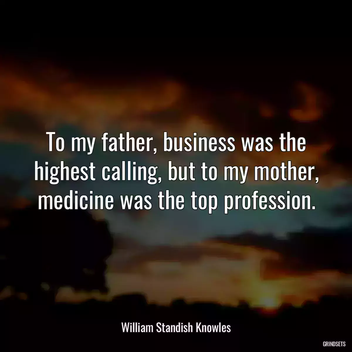 To my father, business was the highest calling, but to my mother, medicine was the top profession.