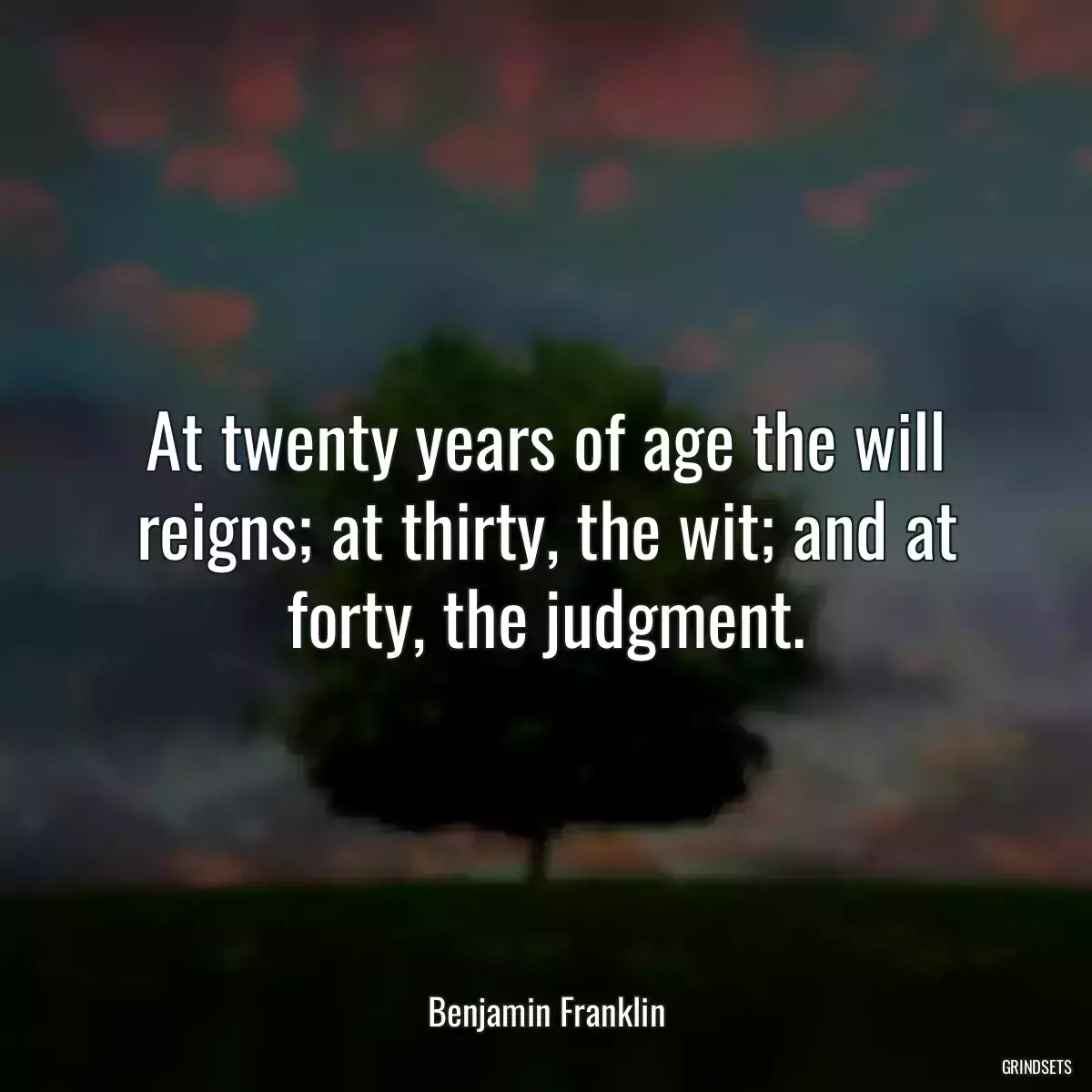 At twenty years of age the will reigns; at thirty, the wit; and at forty, the judgment.