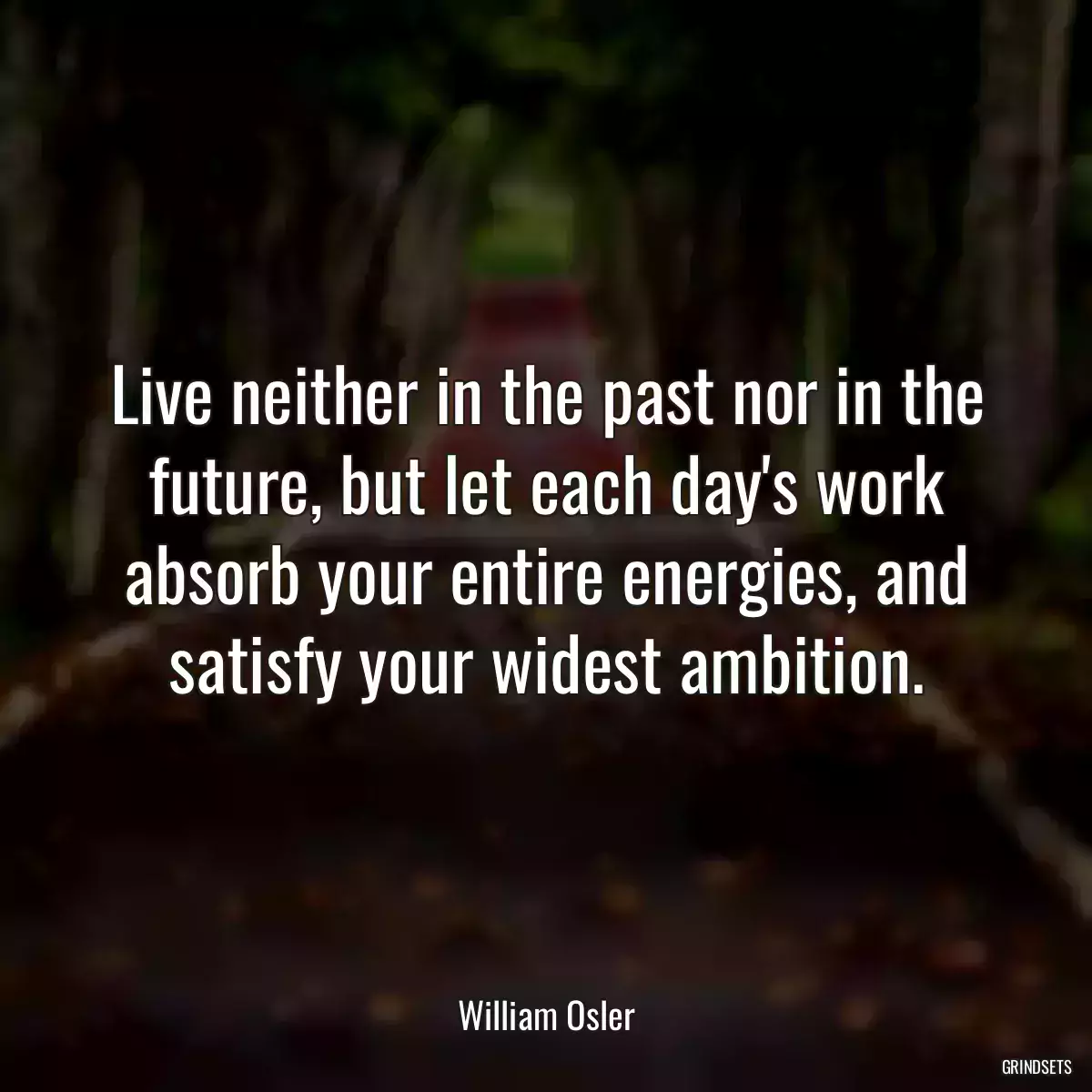 Live neither in the past nor in the future, but let each day\'s work absorb your entire energies, and satisfy your widest ambition.