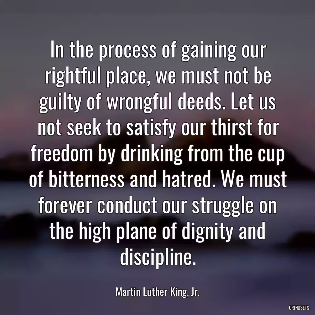 In the process of gaining our rightful place, we must not be guilty of wrongful deeds. Let us not seek to satisfy our thirst for freedom by drinking from the cup of bitterness and hatred. We must forever conduct our struggle on the high plane of dignity and discipline.