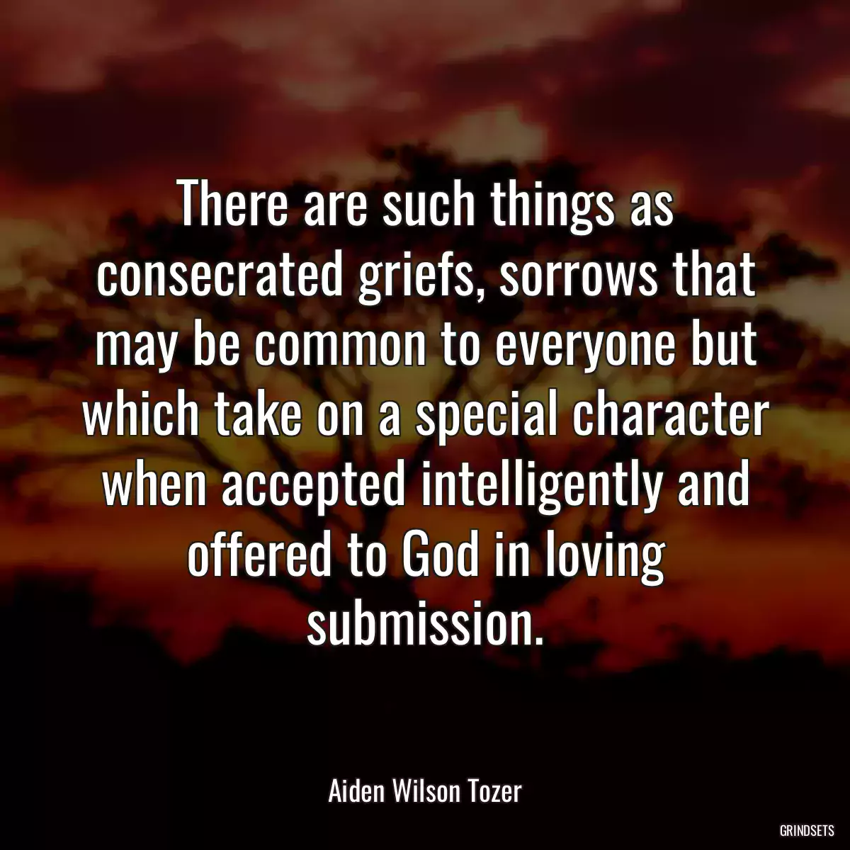 There are such things as consecrated griefs, sorrows that may be common to everyone but which take on a special character when accepted intelligently and offered to God in loving submission.