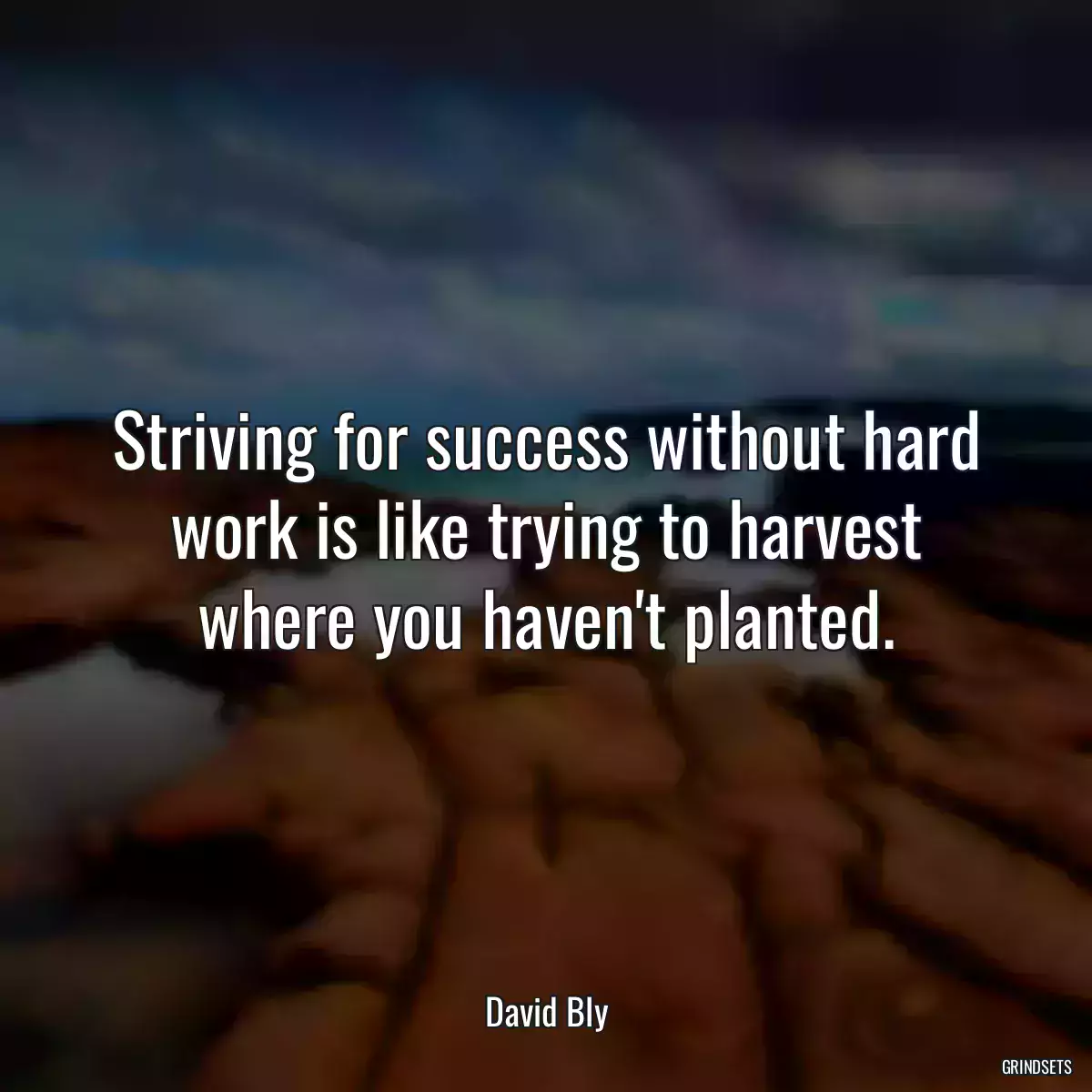 Striving for success without hard work is like trying to harvest where you haven\'t planted.